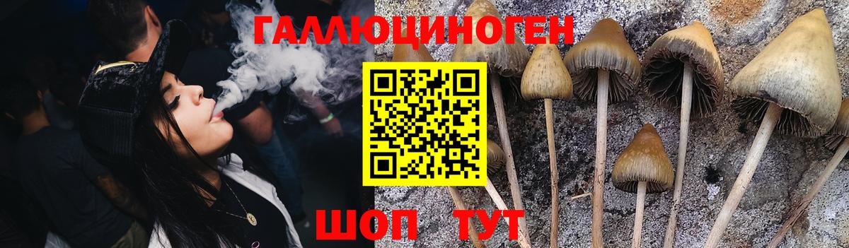 Галлюциногенные грибы MAGIC MUSHROOMS  Галлюциногенные грибы Cubensis  Вход с VPN  Приморско-Ахтарск 